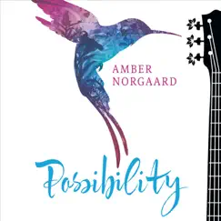 Possibility by Amber Norgaard album reviews, ratings, credits