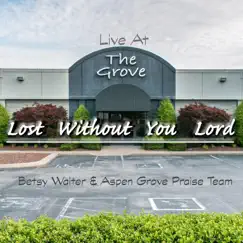 Lost Without You Lord (Live at the Grove) - Single by Betsy Walter & Aspen Grove Praise Team album reviews, ratings, credits