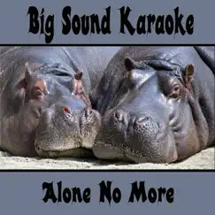 Alone No More (Backing Track) Song Lyrics