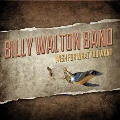 Wish for What You Want by Billy Walton Band album reviews, ratings, credits