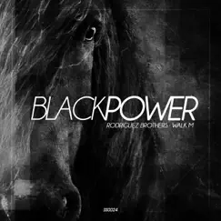 Black Power - Single by The Rodriguez Brothers & Walk M album reviews, ratings, credits