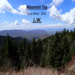 Mountain Top by Larry White album reviews, ratings, credits