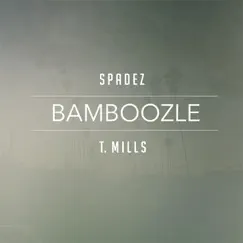 Bamboozle (feat. T. Mills) Song Lyrics