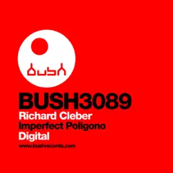 Imperfect/Poligona - Single by Richard Cleber album reviews, ratings, credits