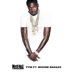 FYM (feat. Boosie BadAzz) - Single by Meek Mill album reviews, ratings, credits