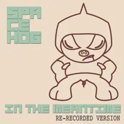 In the Meantime - Single by Spacehog album reviews, ratings, credits
