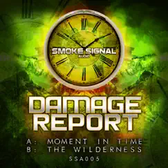 Moment In Time / The Wilderness - Single by Damage Report album reviews, ratings, credits
