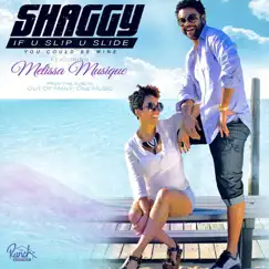 If U Slip U Slide (You Could Be Mine) (feat. Melissa Musique) - Single by Shaggy album reviews, ratings, credits