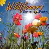 Wildflowers album lyrics, reviews, download