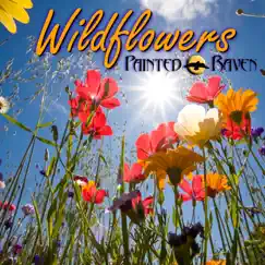 Wildflowers by Painted Raven album reviews, ratings, credits