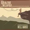 Bull Moose album lyrics, reviews, download