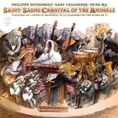Carnival of the Animals: The Swan Song Lyrics