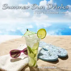 Summer Sun Drinks - Fresh Chill House Tunes by Various Artists album reviews, ratings, credits