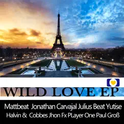 Wild Love Song Lyrics