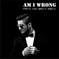 Am I Wrong That's Just How It Feel's - Single by So Now What album reviews, ratings, credits