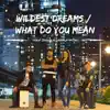 Wildest Dreams / What Do You Mean - Single album lyrics, reviews, download