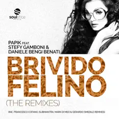 Brivido Felino (feat. Stefy Gamboni & Daniele Bengi Benati) by Papik album reviews, ratings, credits