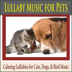 Lullaby Music for Pets: Calming Lullabies for Cats, Dogs, & Bird Music by Steven Current album reviews, ratings, credits