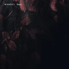 Seoul (Remixes) - Single by Wangel album reviews, ratings, credits