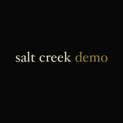 Demo - Single by Salt Creek album reviews, ratings, credits