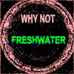 Freshwater (feat. Paul Bridgwater) [Album Edit] Song Lyrics