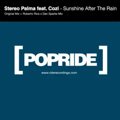 Sunshine after the Rain (feat. Cozi) Song Lyrics