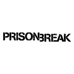 Prison Break Theme (Ferry Corsten Breakout Mix) - Single by Ferry Corsten album reviews, ratings, credits