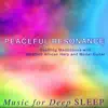 Peaceful Resonance: Soothing Harp and Guitar Meditations album lyrics, reviews, download