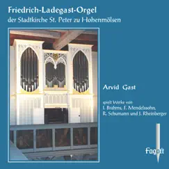Brahms, Mendelssohn, Schumann & Rheinberger: Organ Works by Arvid Gast album reviews, ratings, credits