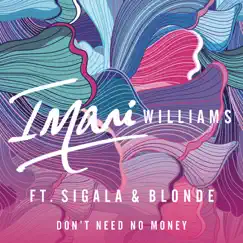 Don't Need No Money (feat. Sigala & Blonde) Song Lyrics