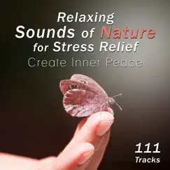 111 Tracks: Relaxing Sounds of Nature for Stress Relief - Create Inner Peace, Deep Relaxation for Meditation, Yoga Music, Reiki Sound Healing, Sleep, Chakra Balancing, Body, Mind & Soul by Various Artists album reviews, ratings, credits