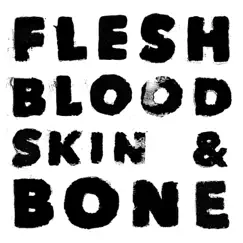 Flesh Blood Skin & Bone Song Lyrics