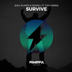 Survive (feat. Tom Harris) Song Lyrics