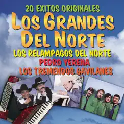 20 Éxitos Originales: Los Grandes del Norte by Los Relámpagos del Norte, Los Tremendos Gavilanes & Pedro Yerena album reviews, ratings, credits