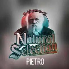 Natural Selection 2017 - Single by Pietro album reviews, ratings, credits