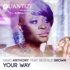 Your Way (feat. Beverlei Brown) by Dave Anthony album reviews, ratings, credits