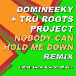 Nobody Can Hold Me Down (Domineeky Remix) Song Lyrics