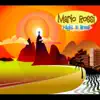 Night in Brazil (feat. Buzz Feiten, Dave Weckl, Eric Marienthal & Melvin Lee Davis) - Single album lyrics, reviews, download