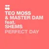 Perfect Day (feat. Daniels Shems) - Single album lyrics, reviews, download