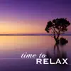 Time to Relax - Music for Your Spare Moments of Free Time, Sounds for Serenity and Deep Relaxation album lyrics, reviews, download