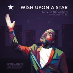 Wish Upon a Star (feat. Rowpieces) by David Boomah album reviews, ratings, credits
