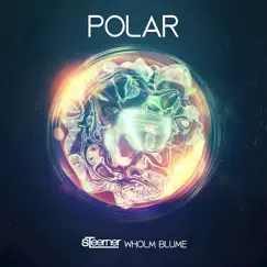 Polar (Radio Edit) Song Lyrics