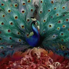 Sorceress by Opeth album reviews, ratings, credits