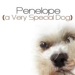 Penelope (a Very Special Dog) - Single by Toni Verde album reviews, ratings, credits