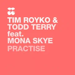 Practise (feat. Mona Skye) - Single by Tim Royko & Todd Terry album reviews, ratings, credits