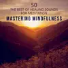 Mastering Mindfulness: 50 The Best of Healing Sounds - Therapy Music to Reduce Stress, Yoga, Find Inner Peace, Train Your Brain to Relax, Meditations to Quiet Your Mind album lyrics, reviews, download