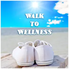 Walk to Wellness Again by Tom Diffenderfer album reviews, ratings, credits