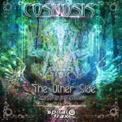 The Other Side (Astro-D Remix) - Single by Cosmosis album reviews, ratings, credits