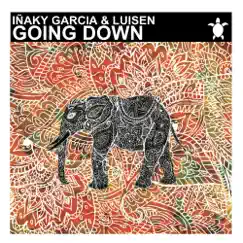 Going Down (feat. Luisen) - Single by Iñaky Garcia album reviews, ratings, credits