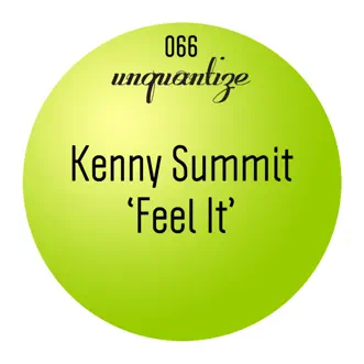 Feel It - Single by Kenny Summit album download
